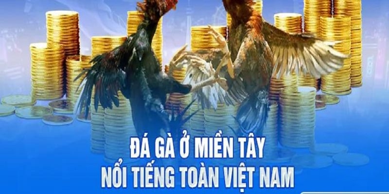 Sảnh cược được đa số người chơi ưu chuộng