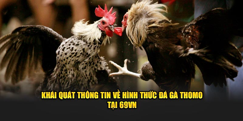 Khái quát thông tin về hình thức đá gà Thomo tại 69VN