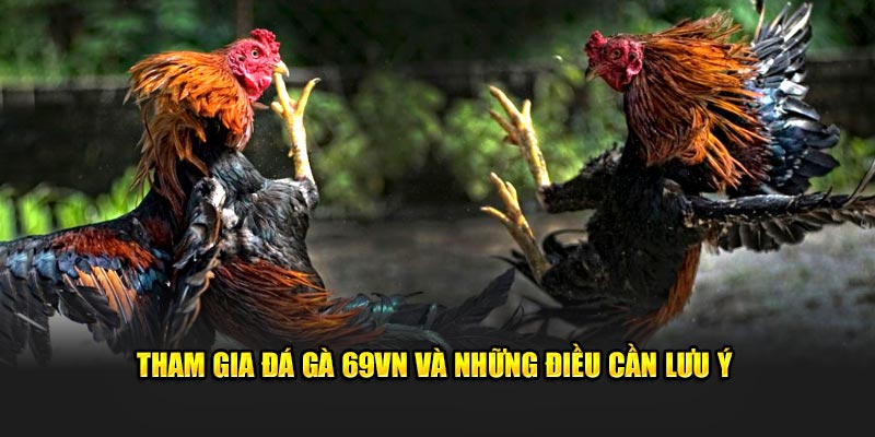 Tham gia đá gà 69VN và những điều cần lưu ý